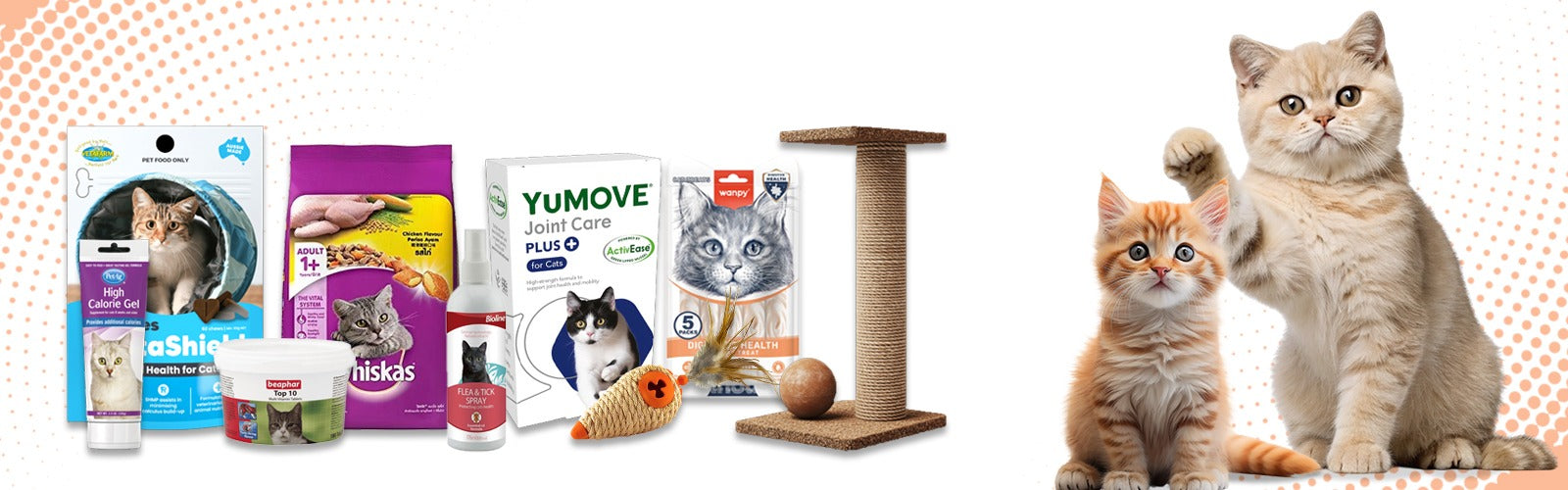 All Cat Products