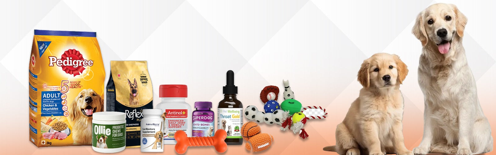 All Dog Products