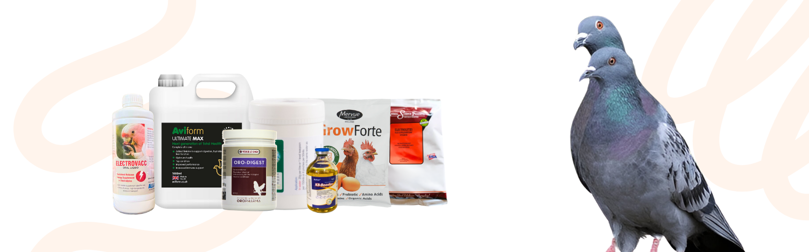 Pigeons Electrolytes & Boosters