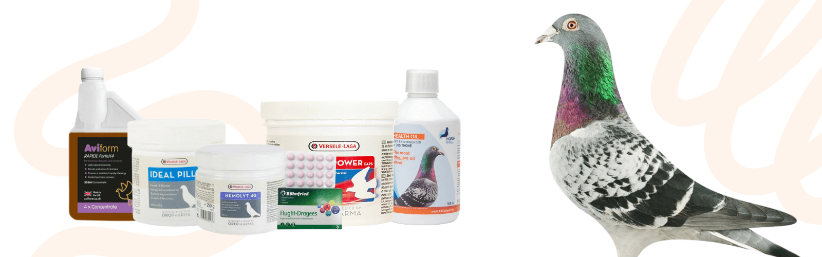 Pigeons Racing Products