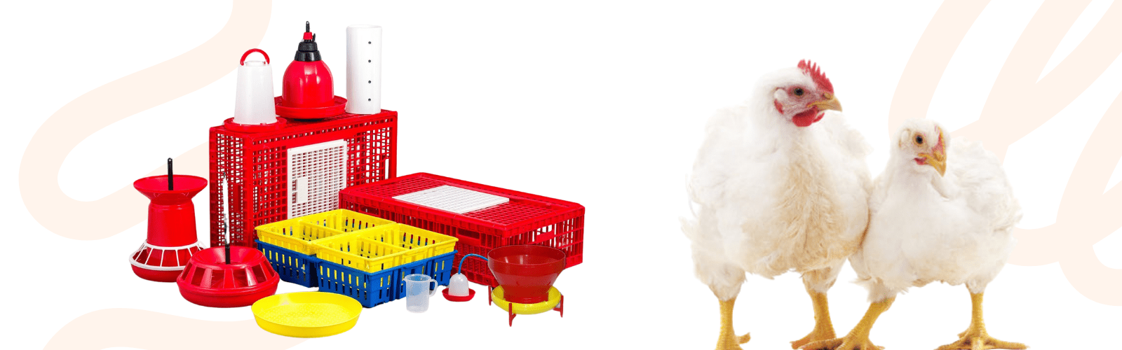 Poultry Accessories