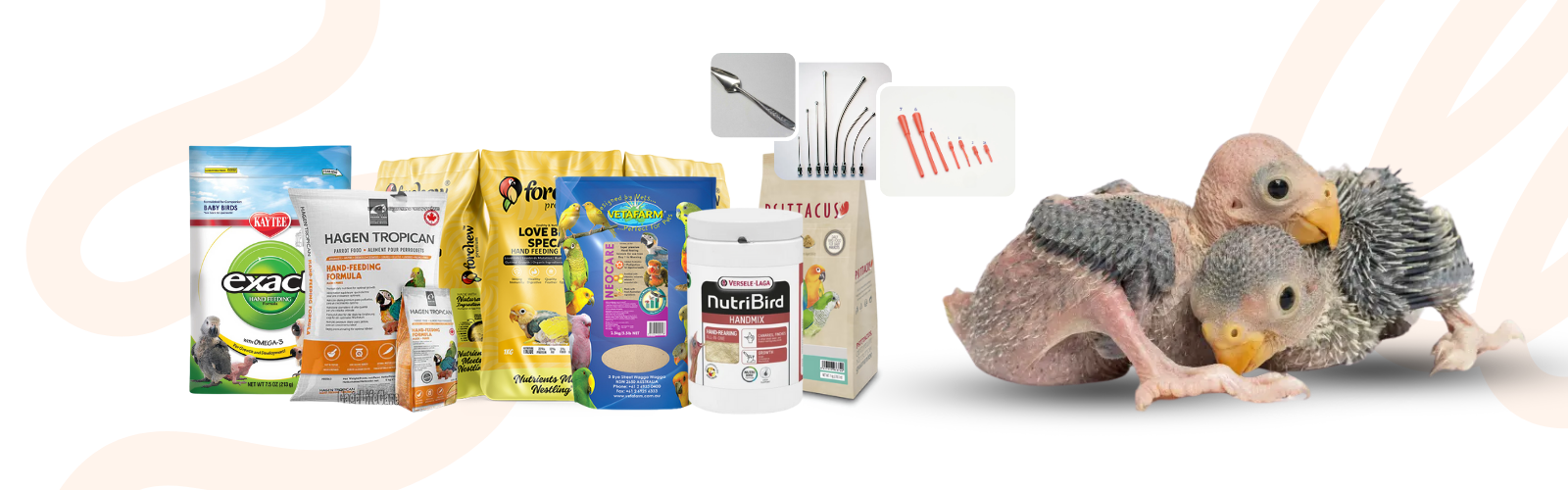 Birds Hand Feed & Accessories