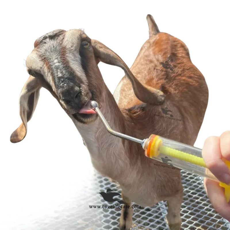 Manual Drencher for Goats, Sheep & Livestock | Adjustable Dosing Syringe