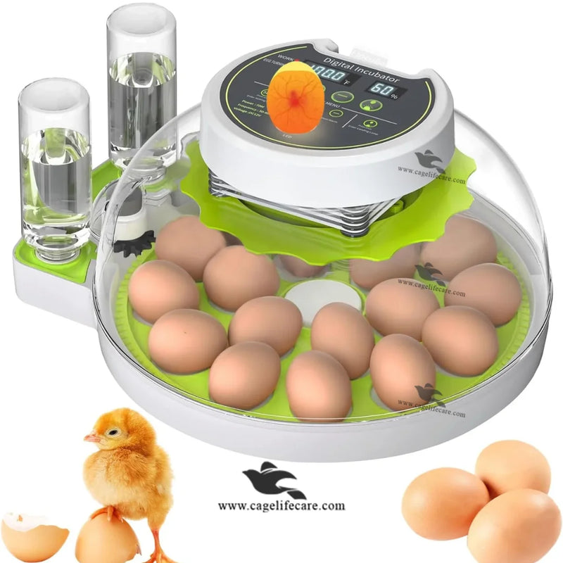 18 & 60 Eggs Fully Automatic Intelligent Green Incubator – Poultry & Parrots