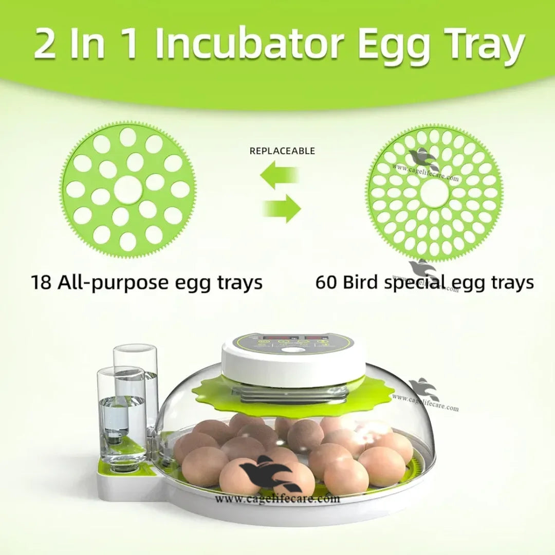 60 parrots eggs incubator for birds