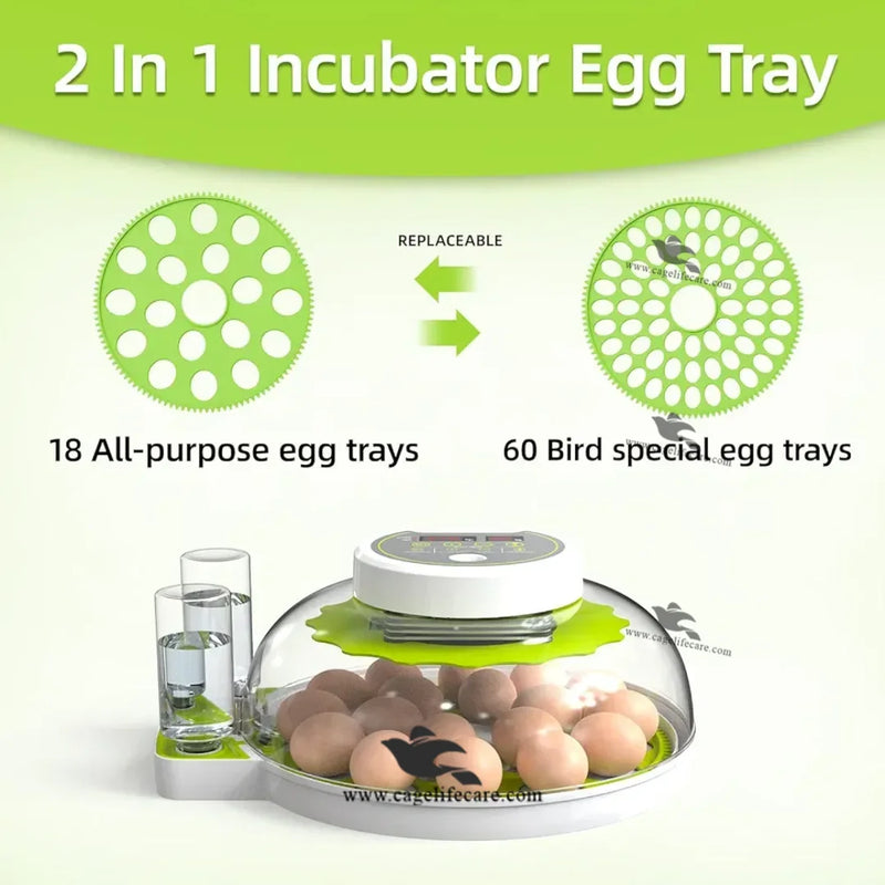 18 & 60 Eggs Fully Automatic Intelligent Green Incubator – Poultry & Parrots