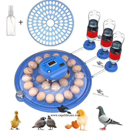fully automatic egg incubator for poultry & Parrots