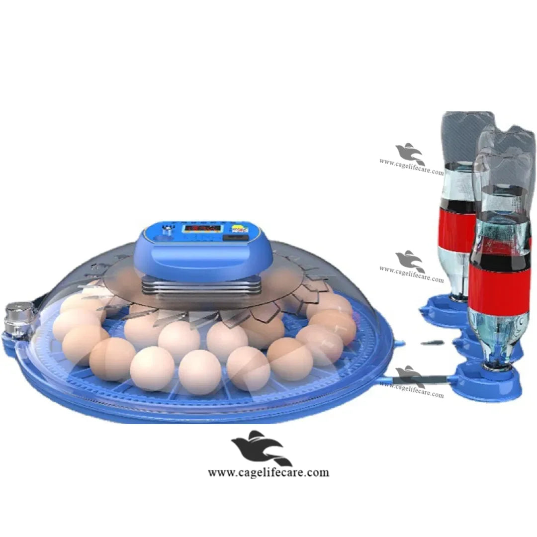 18 eggs incubator for parrots and birds
