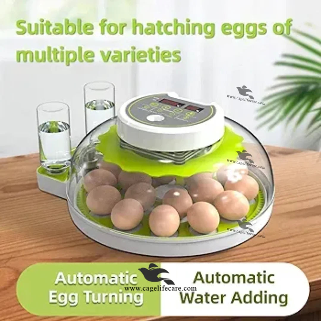 18 & 60 Eggs Fully Automatic Intelligent Green Incubator – Poultry & Parrots