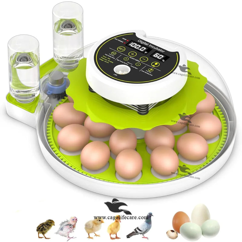18 & 60 Eggs Fully Automatic Intelligent Green Incubator – Poultry & Parrots