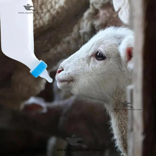 1L Imported Goat & Sheep Milk Hanging Feeder – Silicone Nipple Plastic Milk Bottle with ML Measuring Scale