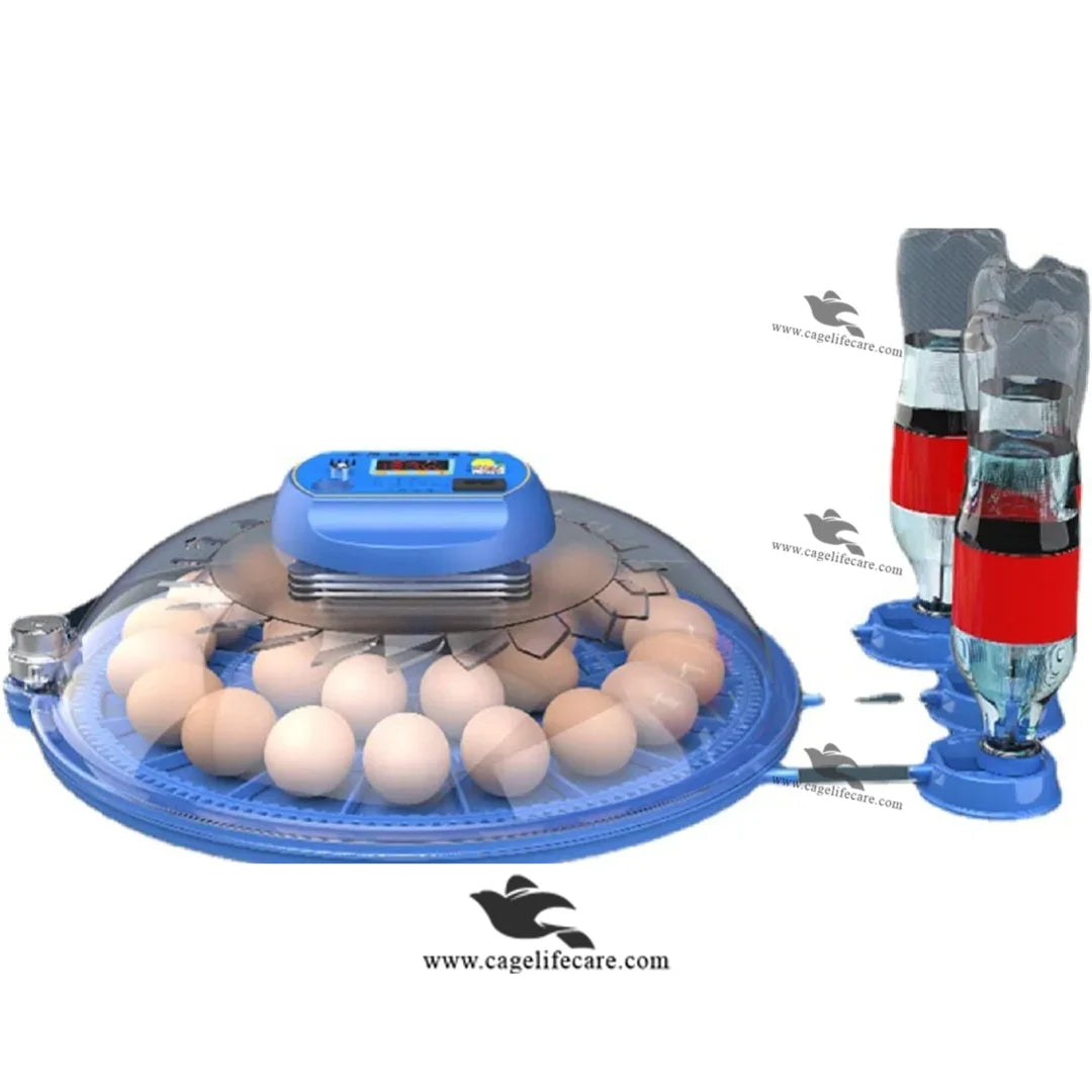 fully automatic 26 eggs incubator for poultry & Parrots