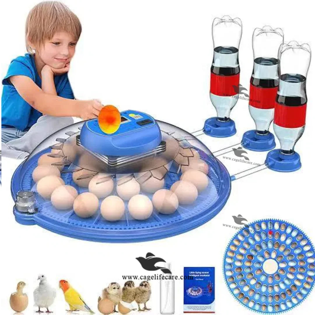 smart incubator with 3-bottle humidity control