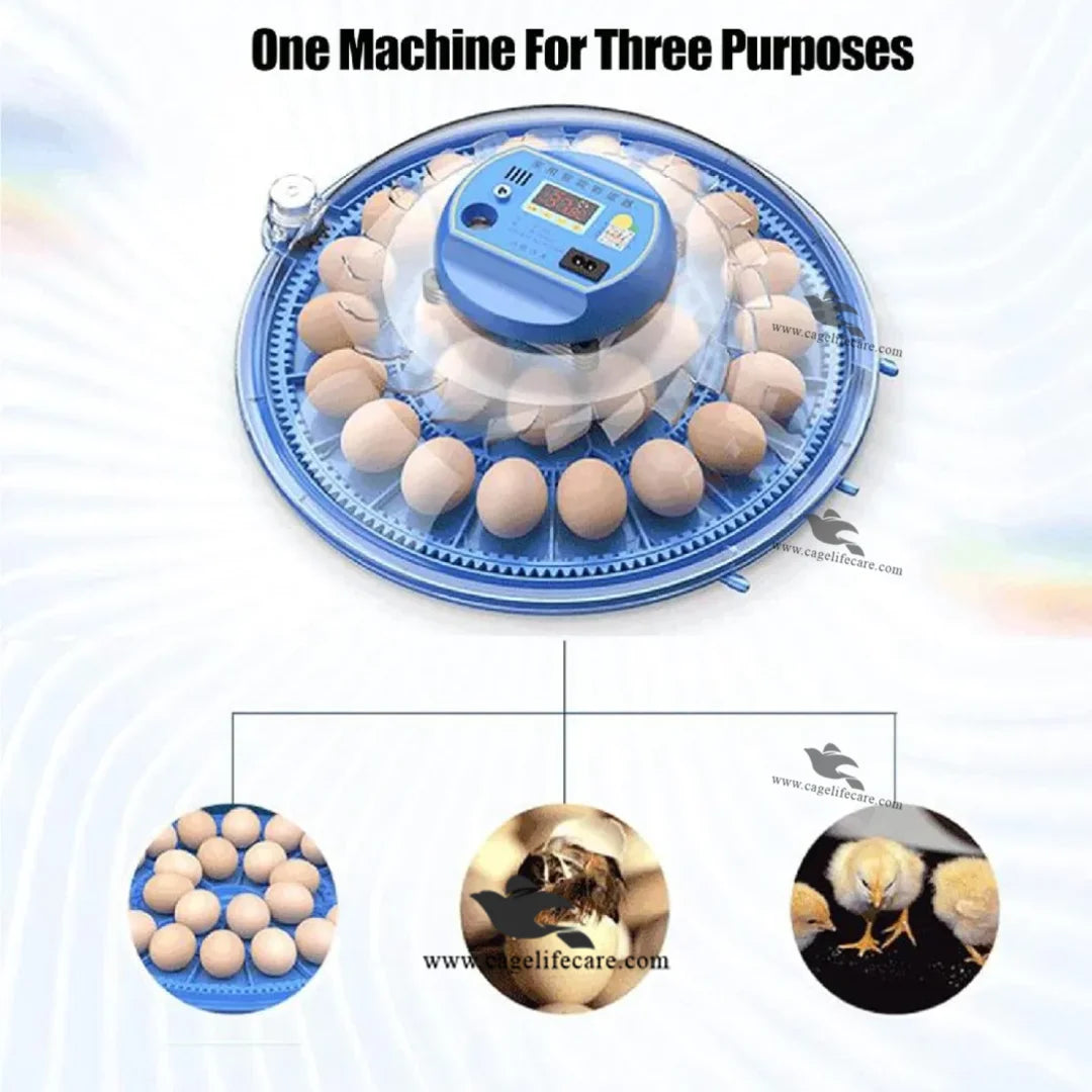 automatic temperature and egg rotation incubator

