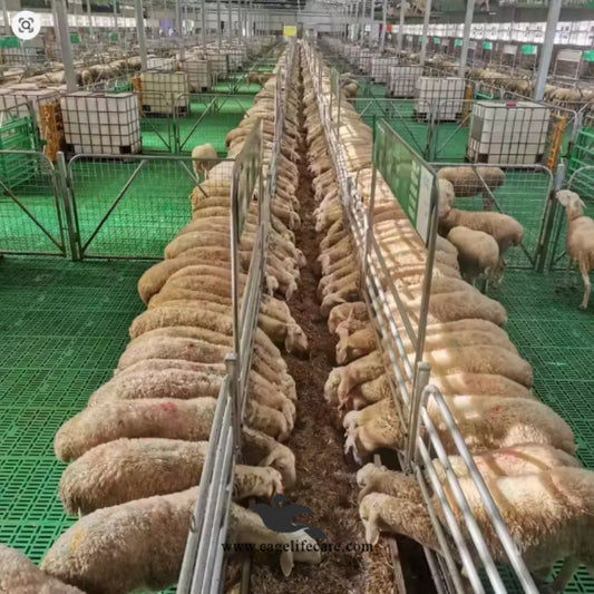 2x2 Feet Heavy-Duty Slatted Flooring Mat For Goat & Sheep Farms 