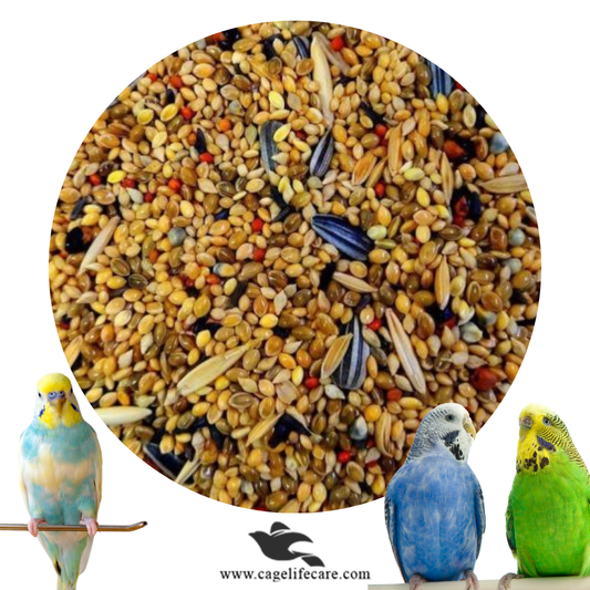 Budgerigar Seed Mix ( Budgies )