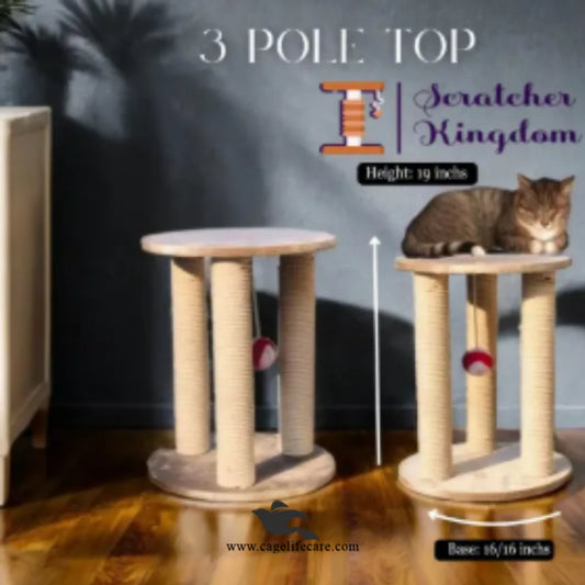 Cage Life Care round top cat scratcher with ball