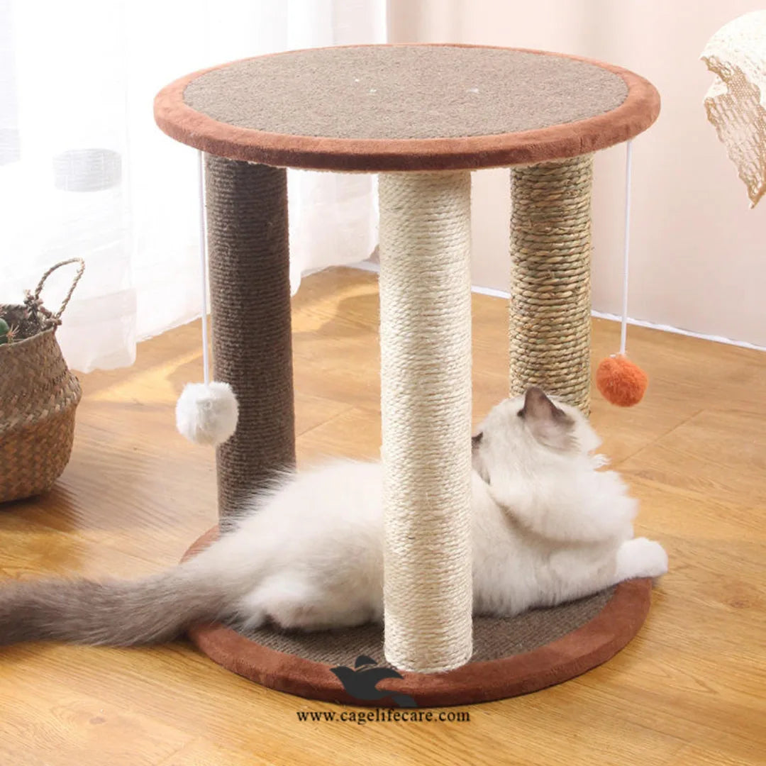 Sisal-wrapped cat scratch post with interactive play ball