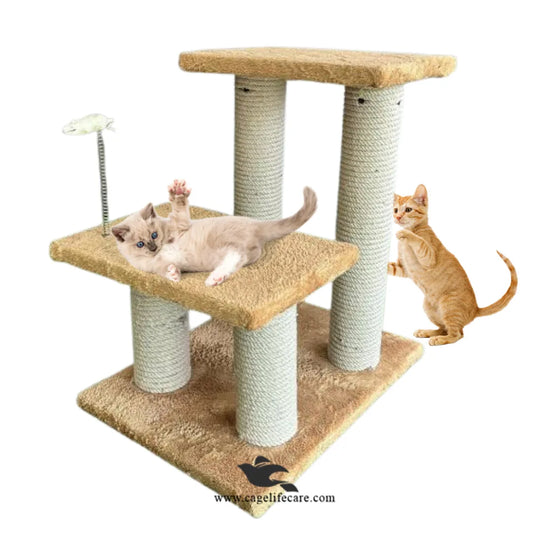 4 pole cat scratcher with play spring toy and 2 steps sits 46cm height