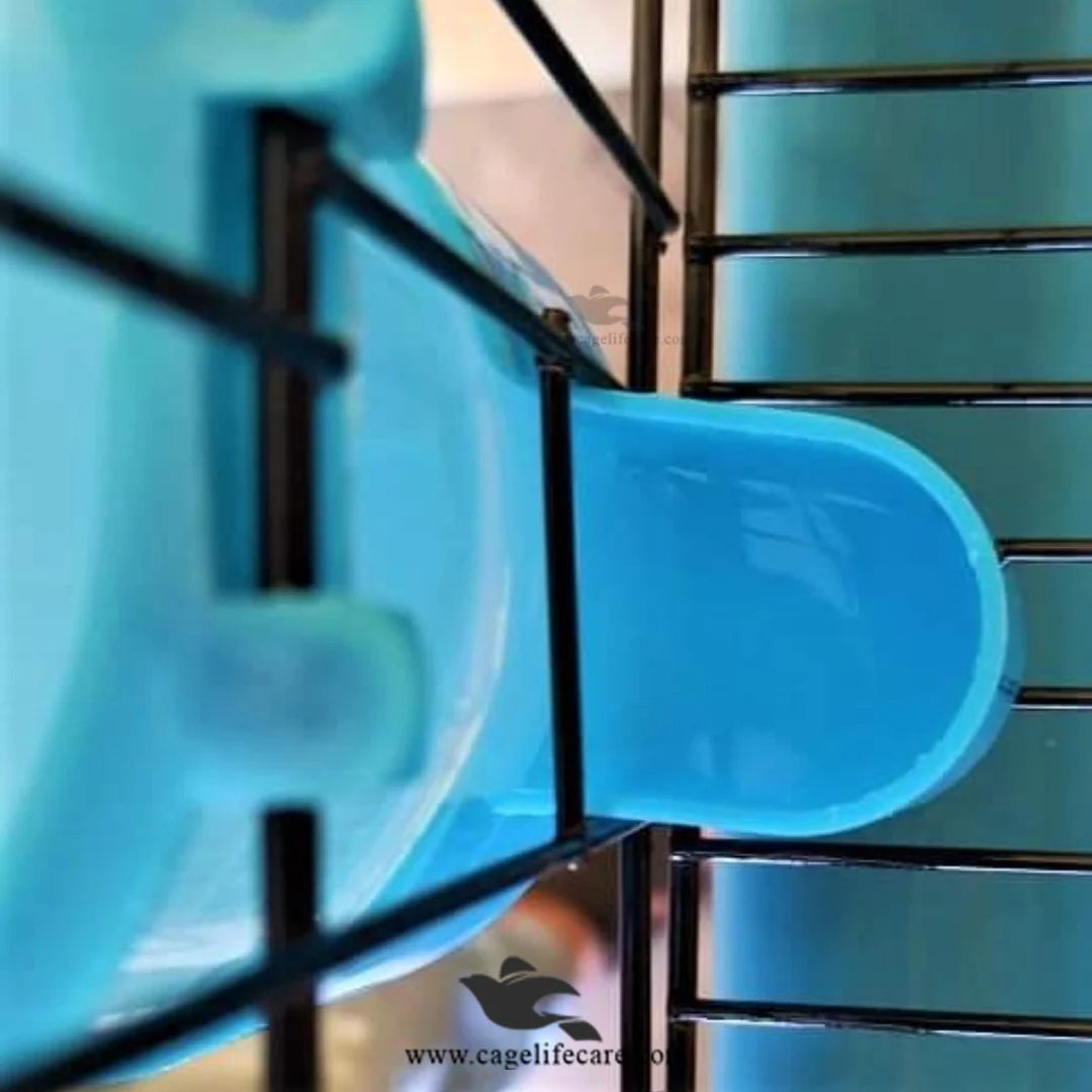 500ml Feeder & Drinker For All Birds close view