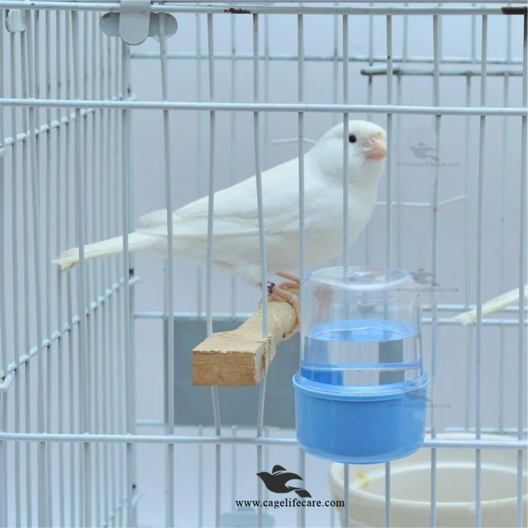 50ml Medicine Water Drinker For Small Birds best for all cage birds