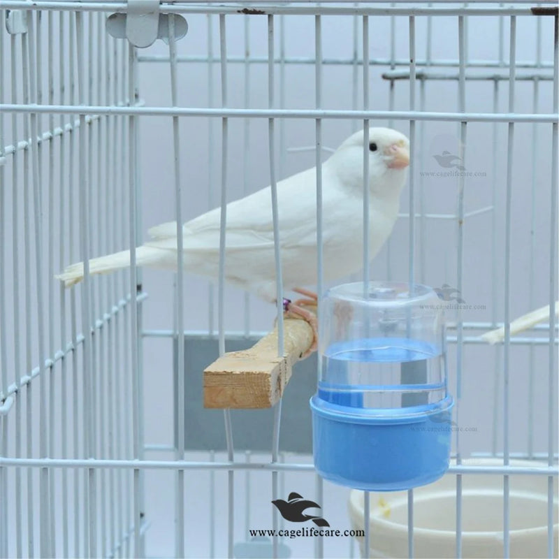 50ml Medicine Water Drinker For Small Birds