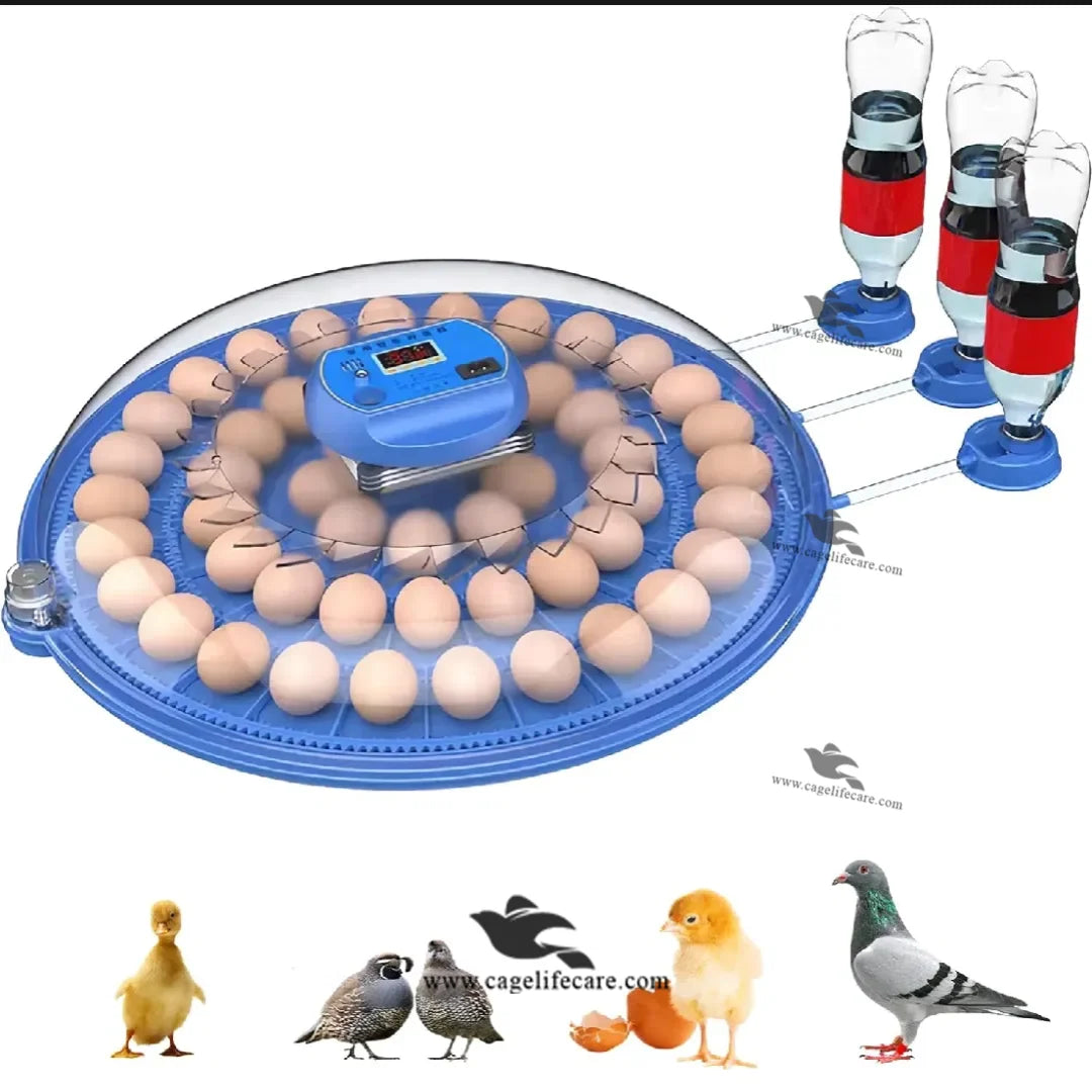 fully automatic 52 poultry eggs incubator