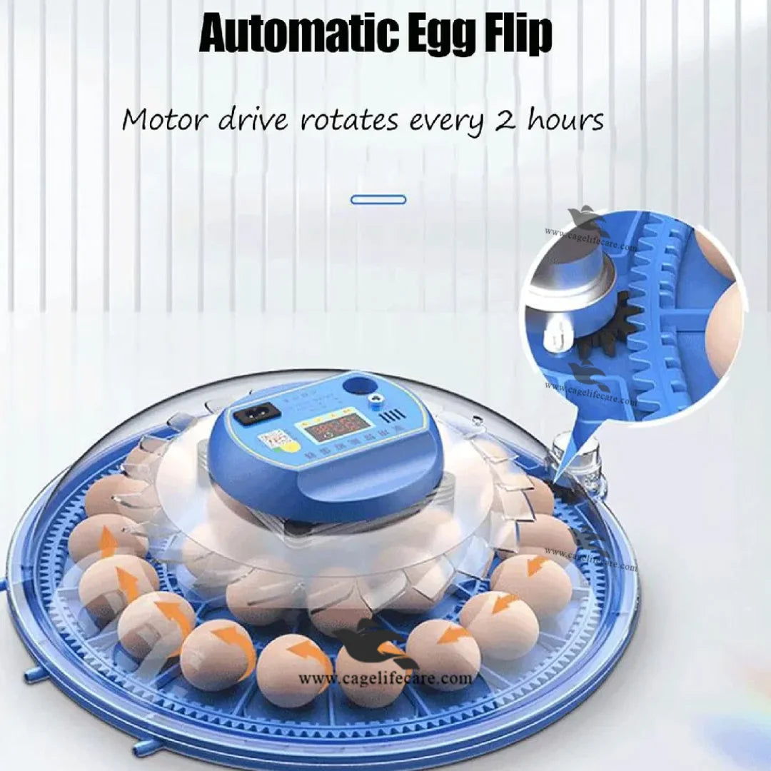 advanced bird incubator for poultry and parrots