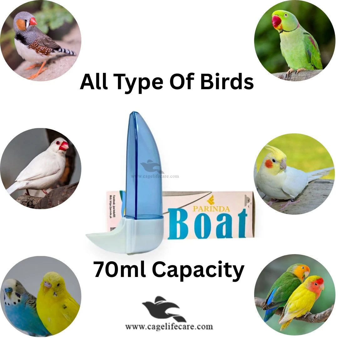 70ml Boat Drinker for Small Birds – Premium Glass Water Dispenser - All Type of birds