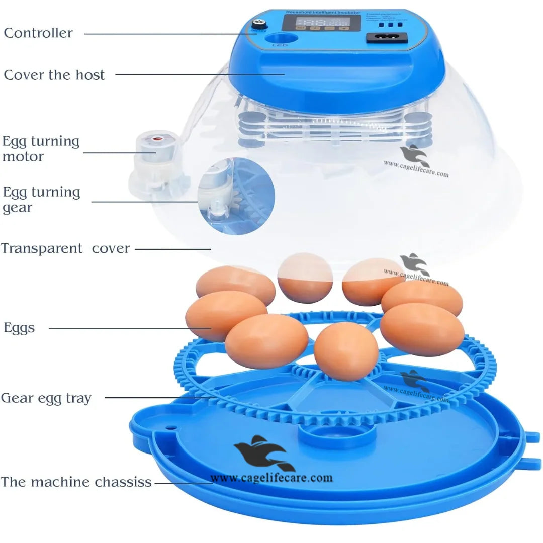 automatic temperature humidity rotation incubator
