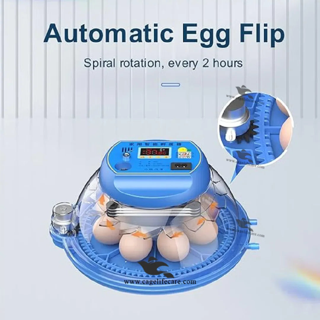automatic temperature humidity rotation incubator
