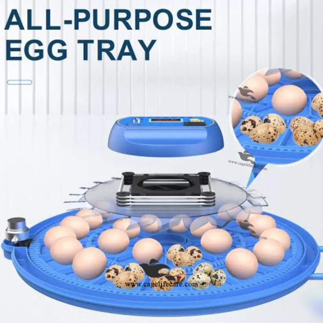 automatic temperature humidity rotation incubator