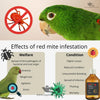 AVI MITE - Designed to Control Red Mite infestations in Birds
