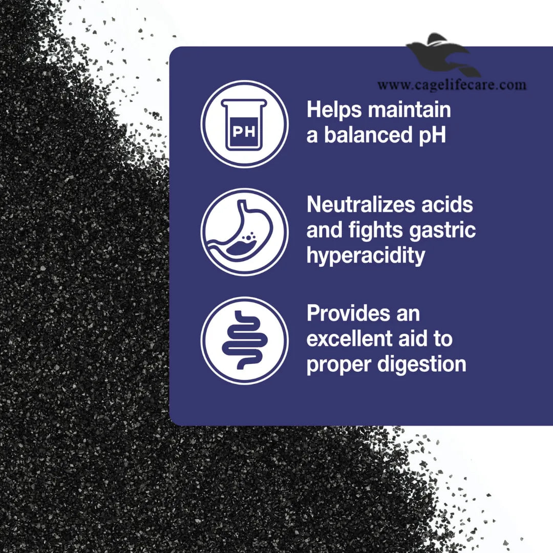 Activated Charcoal – Support Digestive Health in Birds