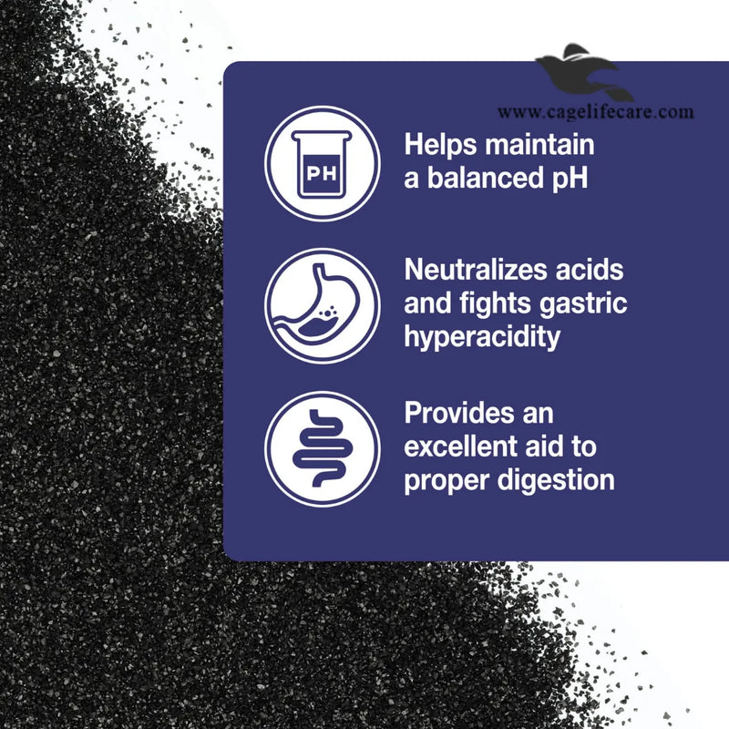 Activated Charcoal – Support The Digestive Health in Birds