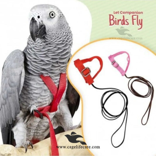 Adjustable Bird Harness - Safe Flight for Parrots Easy Flying Bird