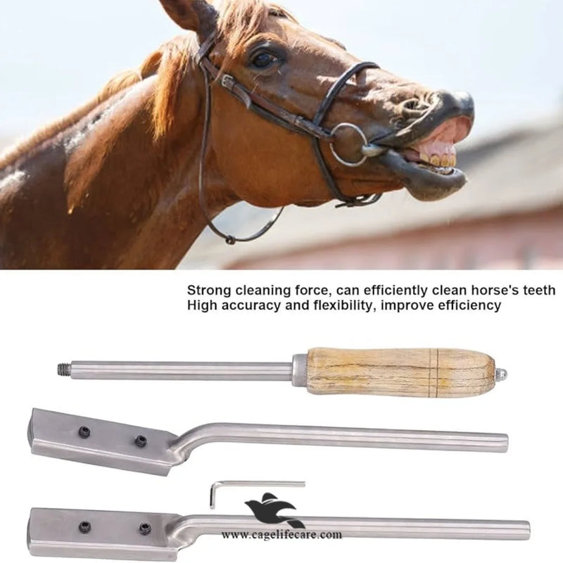 Adjustable Double Veterinary Dental Float Rasp – Equine Tool Livestock