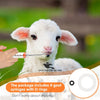Adjustable Drenching Syringe with Steel Nozzle - For Goats, Sheep, Dogs & Pets (20ml-100ml)