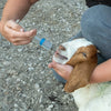 Adjustable Drenching Syringe with Steel Nozzle - For Goats, Sheep, Dogs & Pets (20ml-100ml)