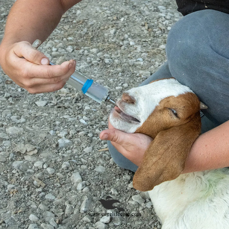Adjustable Drenching Syringe with Steel Nozzle - For Goats, Sheep, Dogs & Pets (20ml-100ml)