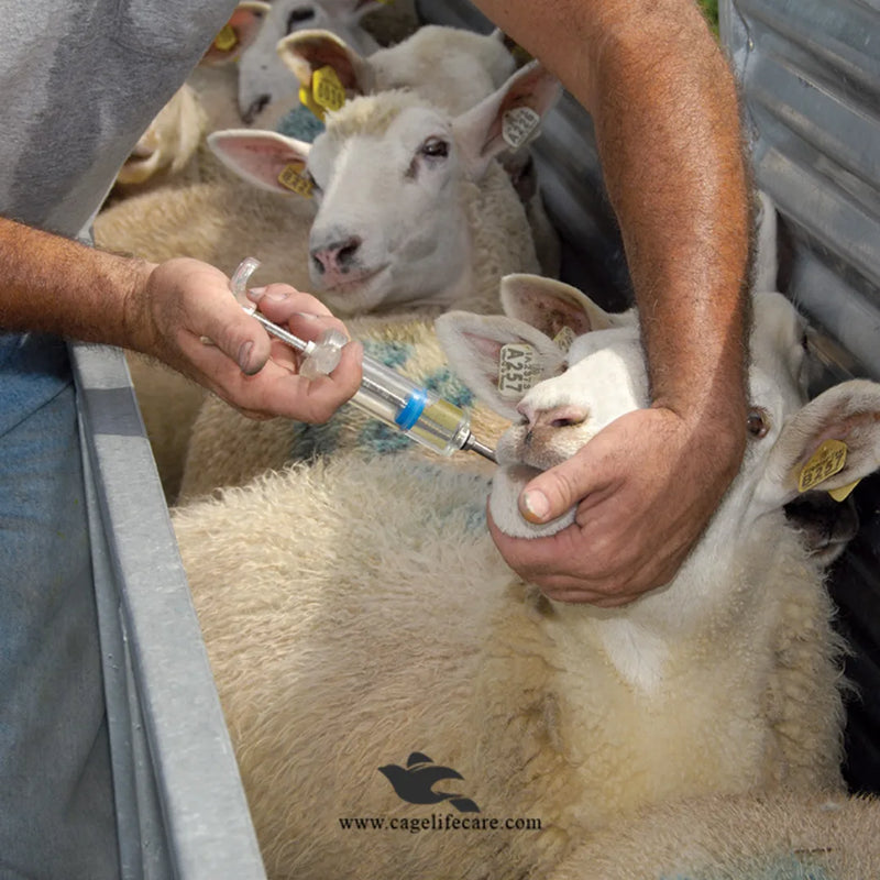Adjustable Drenching Syringe with Steel Nozzle - For Goats, Sheep, Dogs & Pets (20ml-100ml)