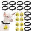 Adjustable ID Neck Collar Tags For Sheep & Goats Livestock