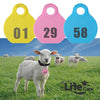 Adjustable ID Neck Collar Tags For Sheep & Goats Livestock