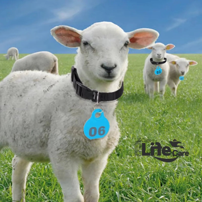 Adjustable ID Neck Collar Tags For Sheep & Goats Livestock