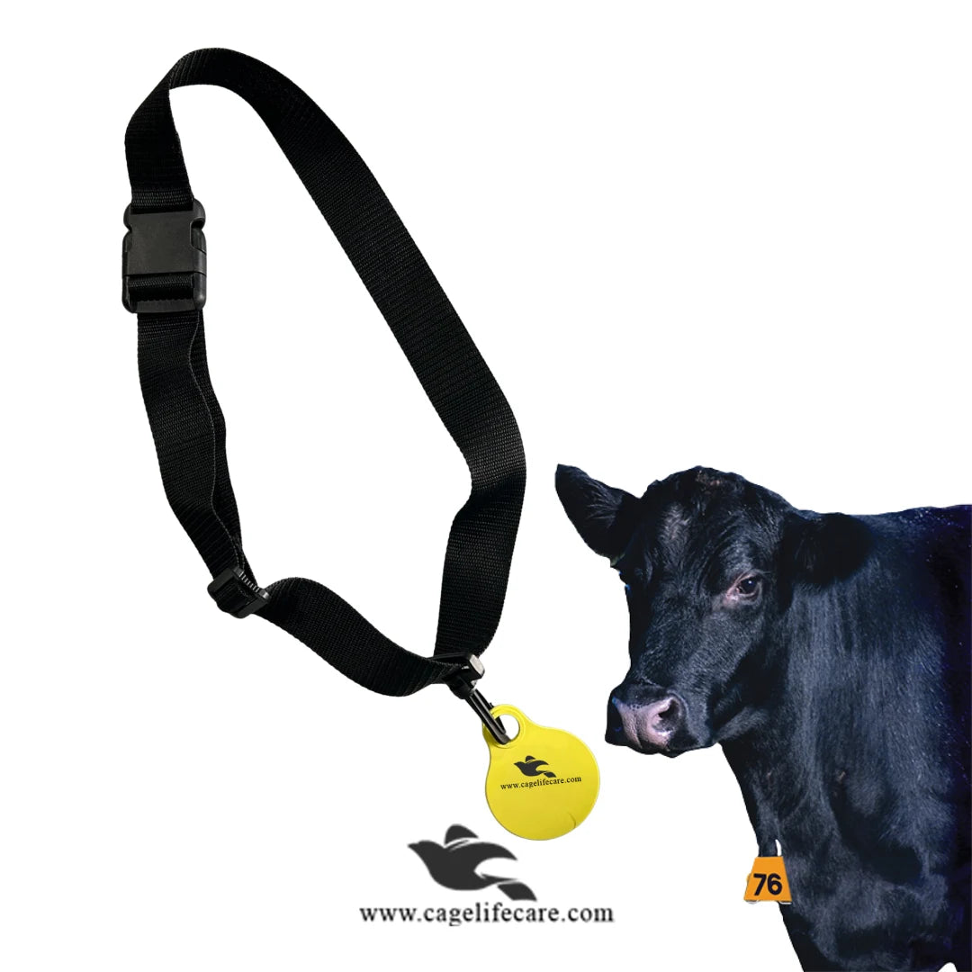 Adjustable ID Neck Round Tag & Collar for Cow, Cattle & Dairy Animals