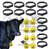 Adjustable ID Neck Tag & Collar for Cow, Cattle & Dairy Animals