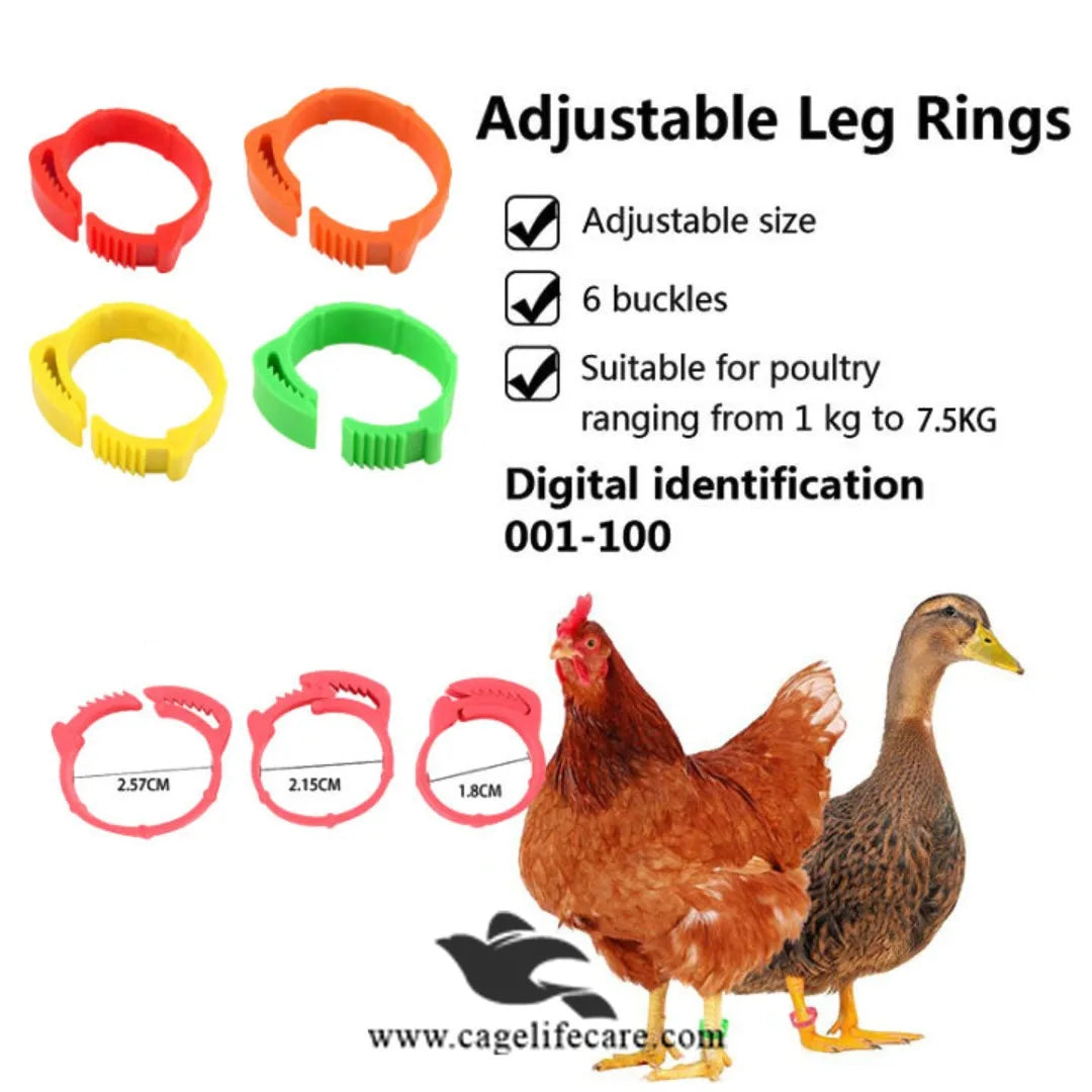 Adjustable Poultry Leg Bands – Clip-On Bird ID Rings