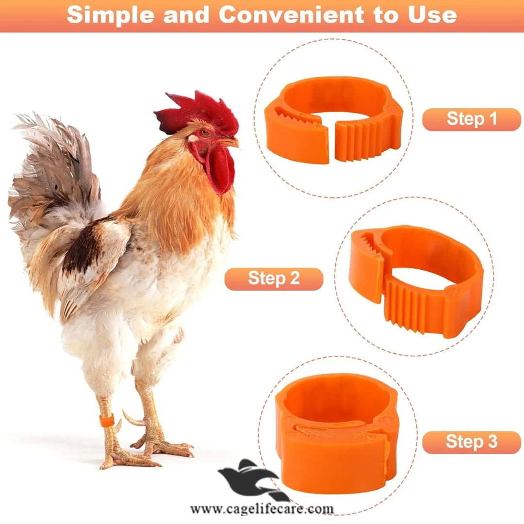 Adjustable Poultry Leg Bands – Clip-On Bird ID Rings