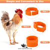 Adjustable Poultry Leg Bands – Clip-On Bird ID Rings