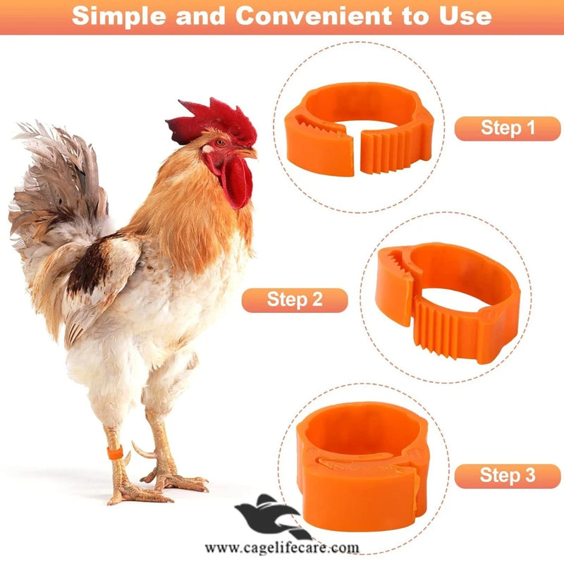 Adjustable Poultry Leg Bands – Clip-On Bird ID Rings